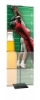 ©Copyright 2012 Testrite Visual Products. All rights reserved.