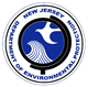 nj environmental inspection